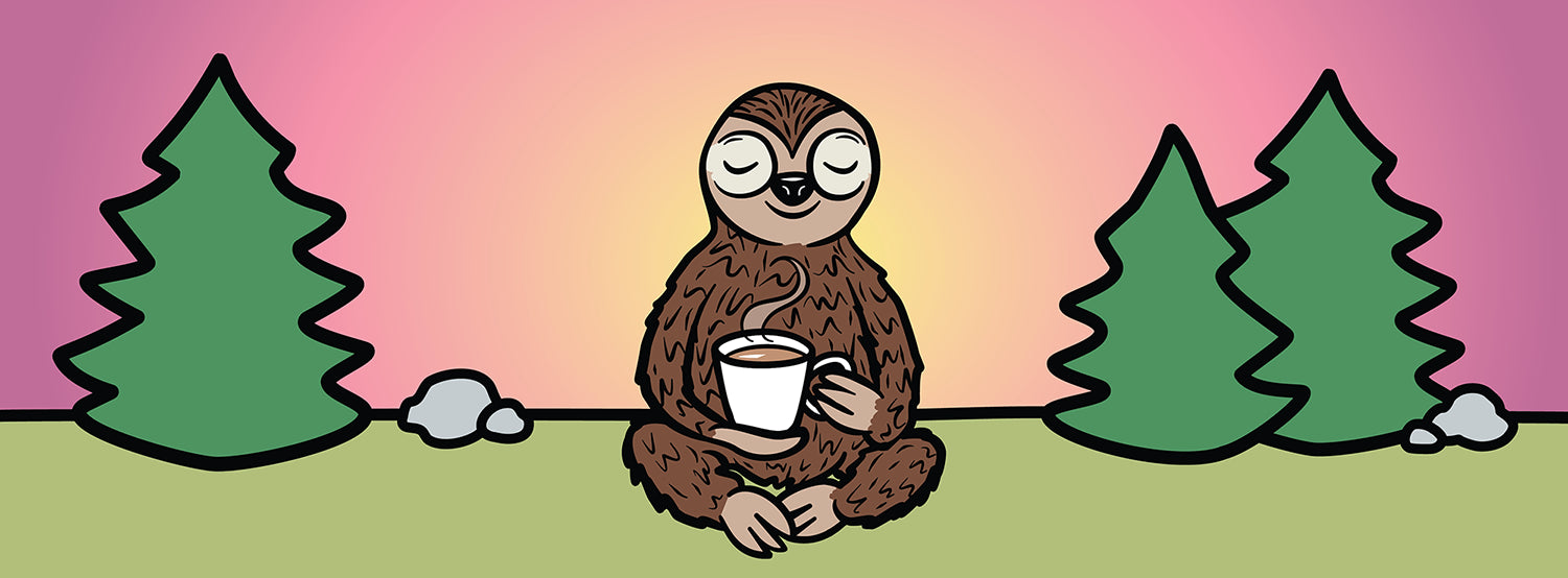 Get to know our Sleepy Sloth