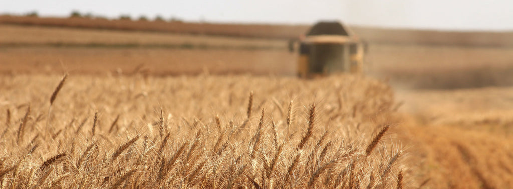 How It's Made Matters